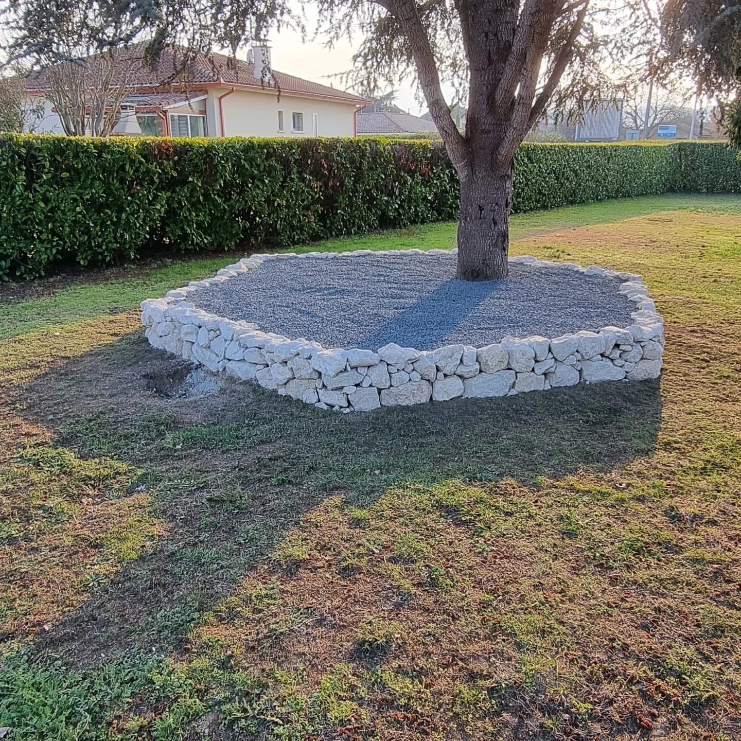 WhatsApp Image 2026 03 22 at 19.04.09 (2)